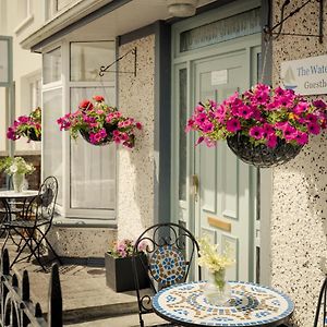 The Waterfront (Adults Only)